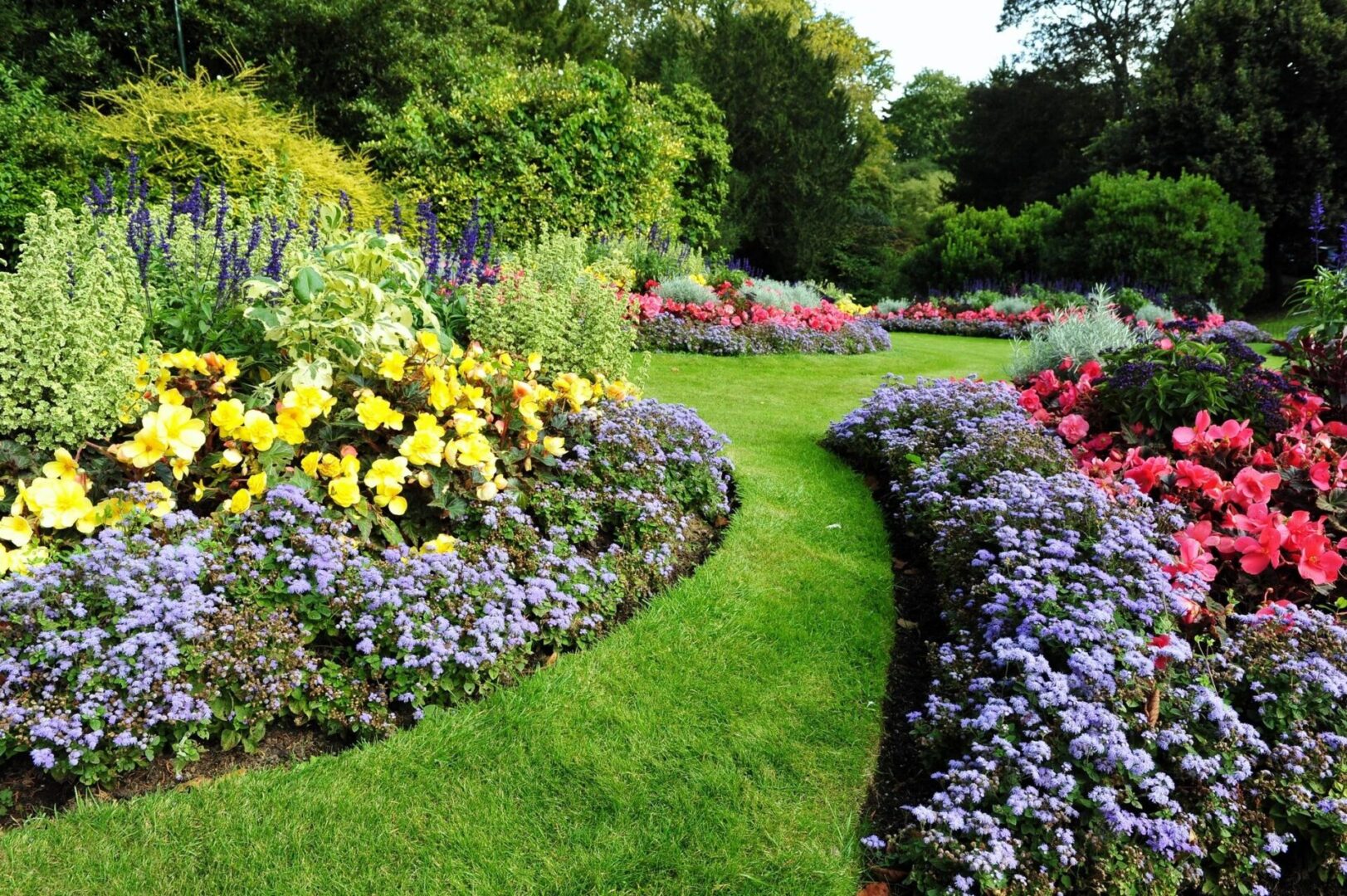 garden